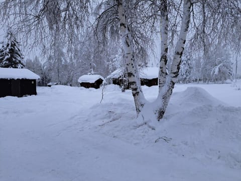 House | Property grounds