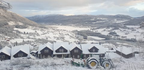 Local view