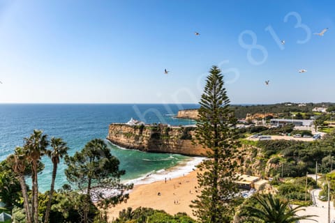 Breathtaking coastal panorama near 813 Alporchinhos featuring a golden sandy beach, crystal-clear turquoise waters, dramatic limestone cliffs, and palm trees with seagulls soaring above the picturesque Algarve shoreline