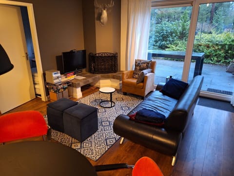 Couch, Table, Furniture, Comfort, Plant, Television, Building, Wood, Picture Frame, Studio Couch