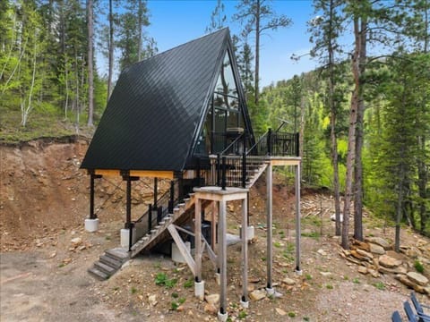Secluded A-Frame Cabin Exterior in the Pines