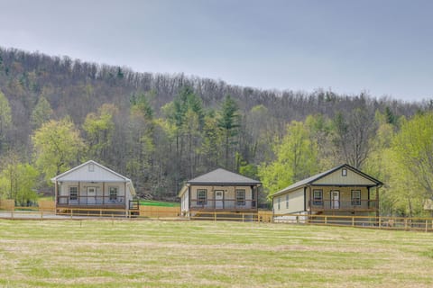 Erwin Vacation Rental | 3BR | 2BA | 1,300 Sq Ft