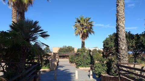 Tree, Vegetation, Shrub, Woody Plant, Shade, Garden, Landscaping, Hacienda