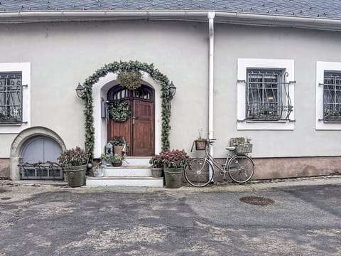 Wall, Door, Flowerpot, Houseplant, Home Door, Concrete, Molding, Plaster