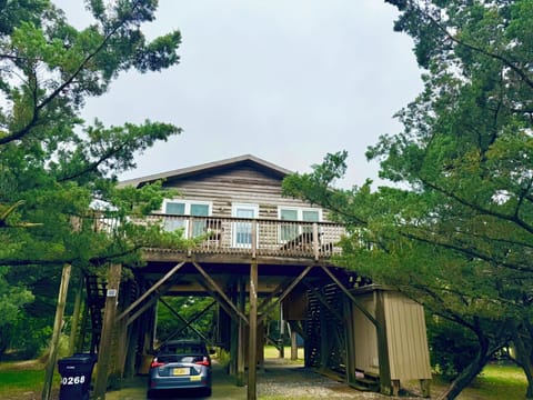 Beach Bungalow