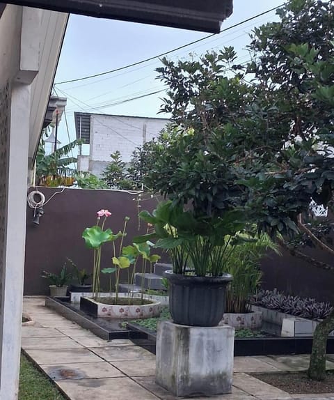 Villa | Property grounds