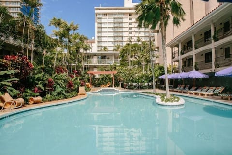 Dive into a serene resort pool framed by palms