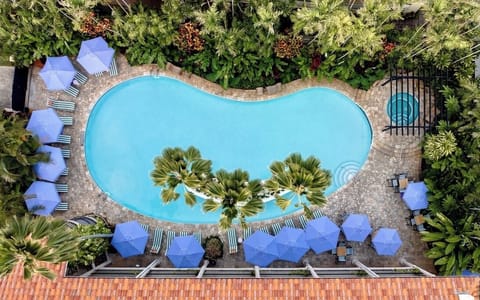 Soak up island vibes in a lush, curved pool oasis