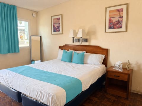 Standard Single Room, 1 King Bed