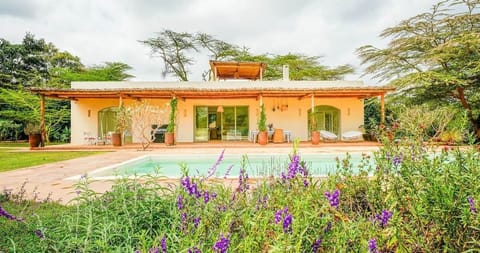 “Relaxed rooftop pool house with a shared pool — perfect for unwinding, sun-soaked afternoons, and easygoing stays.”