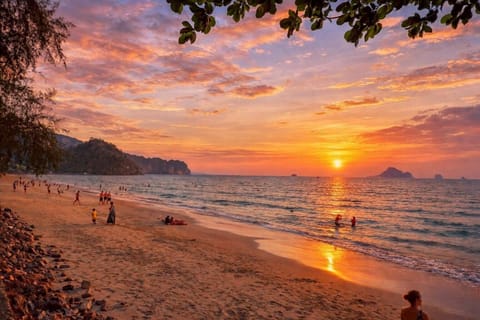 Apartment, 3 Bedrooms, Accessible, Smoking | Beach
