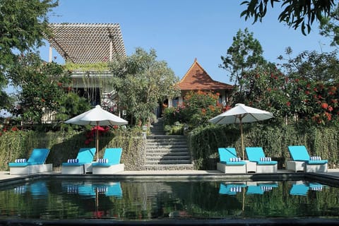 Outdoor pool, sun loungers