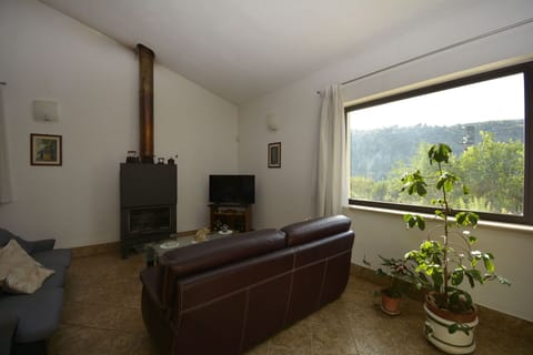 Furniture, Interior Design, Room, Flooring, Ceiling, Floor, Living Room, Couch, Picture Frame, Hardwood