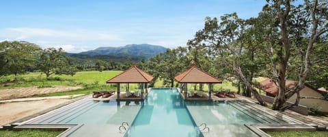 Outdoor pool, sun loungers