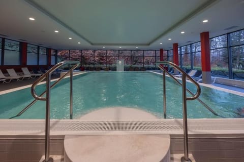 Dive into tranquil laps while trees frame the panoramic windows.