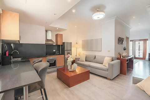Fully furnished living room and kitchen