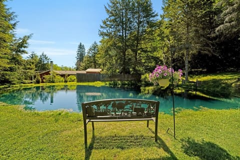 Backyard Retreat | Private Pond Views | Waterfront Seating Area