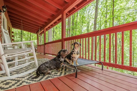We allow up to 2 dogs and we do not charge a pet fee!