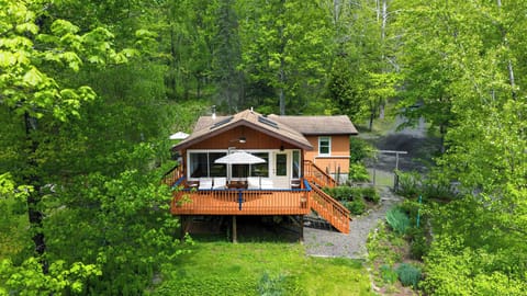 A peaceful wooded retreat with a spacious deck surrounded by lush greenery—perfect for morning coffee, outdoor lounging, and quiet nature-filled escapes.