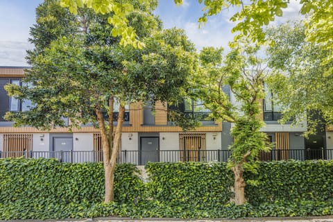 View from the Tree lined street