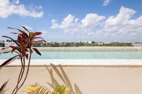Rooftop Pool