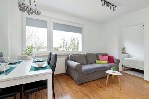 A bright living room with a gray sofa, colorful cushions, and a dinning table by the window. Natural light and wooden floors create a cozy feel.
