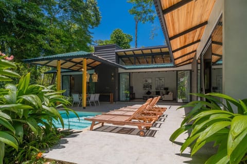 Modern tropical home with private pool surrounded by lush jungle, located on a quiet hillside in Punta Uva, Puerto Viejo.
