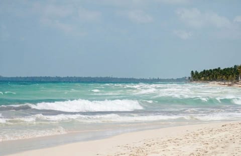 Beach nearby, white sand
