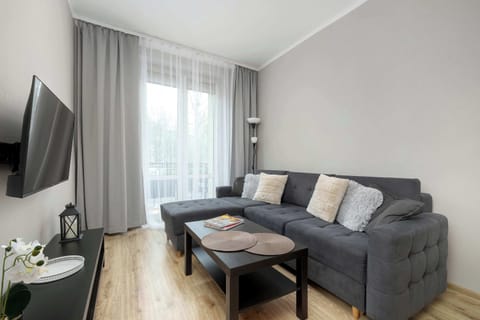 Bright and stylish bedroom featuring a comfortable sofa bed, soft textiles, and plenty of natural light.