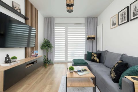 A bright living room features a dark gray sofa, a modern black TV cabinet, and a wooden coffee table.