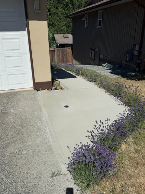 IMG 1802