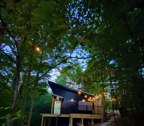 Canopy 7 from the fire pit area