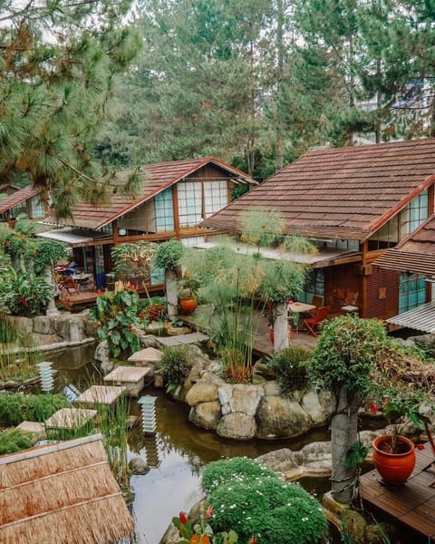 Family Villa | Property grounds