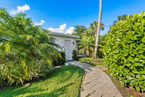 Palm-lined pathways and sunny skies set the scene for an unforgettable coastal escape.