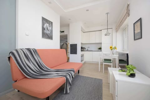 A bright apartment living area features a distinctive terracotta-colored sofa. In the background, a white L-shaped kitchenette is visible, along with a wooden table and a window looking out onto trees.