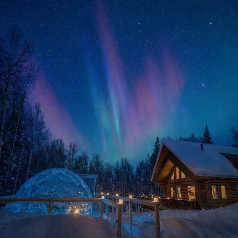 Watch the northern lights dance across the sky from your private log cabin.