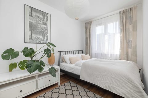 A bright bedroom with a neatly made bed, light curtains, and several green plants placed along a low shelf.