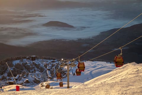 Snow and ski sports