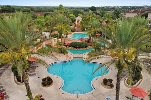 Resort-style pool surrounded by palm trees & lush landscaping for a relaxing outdoor escape