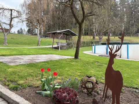 Tree, Grass, Public Space, Garden, Lawn, Park, Trunk, Yard, Bench, Shade