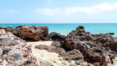 House, 1 Bedroom, Patio, Garden View | Beach