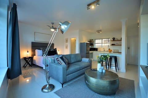 Open plan living room, kitchen and bedroom.