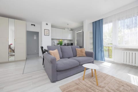 A clean and bright living room with minimal furniture and large windows. The neutral tones make the space feel open and airy.