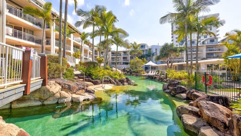 Resort-style communal pool surrounded by lush tropical gardens – perfect for a refreshing dip or relaxing afternoon in the sun.