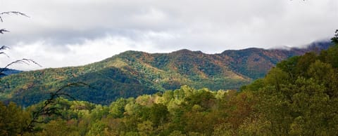 Cold Mountain - Haywood Co
View from Tiny Home