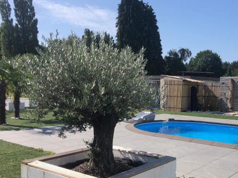 House | Pool | Indoor pool, outdoor pool