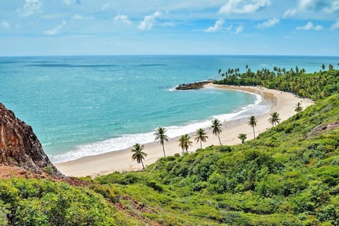 Deluxe Apartment, Pool Access, Sea View | Beach | On the beach, white sand