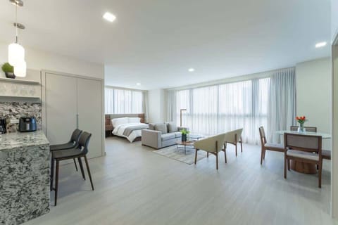 Bright open-plan studio with kitchen, living and dining areas