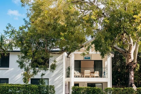 Sun-drenched indoor-outdoor living amongst the gum trees.