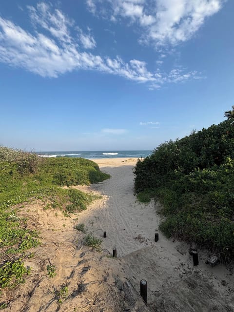 House, 1 Bedroom, Patio, Garden View | Beach